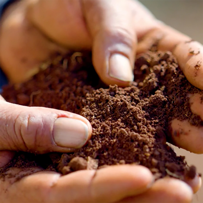 Teremana Tequila Blanco 0.7 l 40% vol