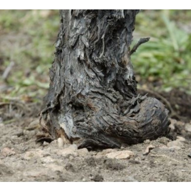 Primo Terlaner I Grande Cuvee 2019 0.75 l