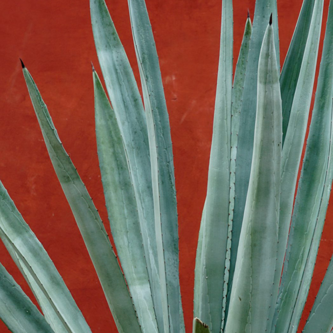 Los Arango Tequila Anejo 0.7 l 40% vol