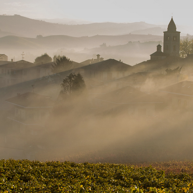 Del Professore Vermouth di Torino Rosso 0.75 l 18% vol