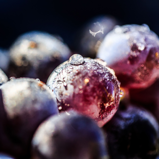 Confidentielle Rose AOP Cotes des Provence 2025 0.75 l