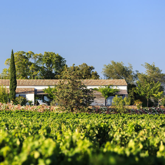 Confidentielle Rose AOP Cotes des Provence 2025 0.75 l