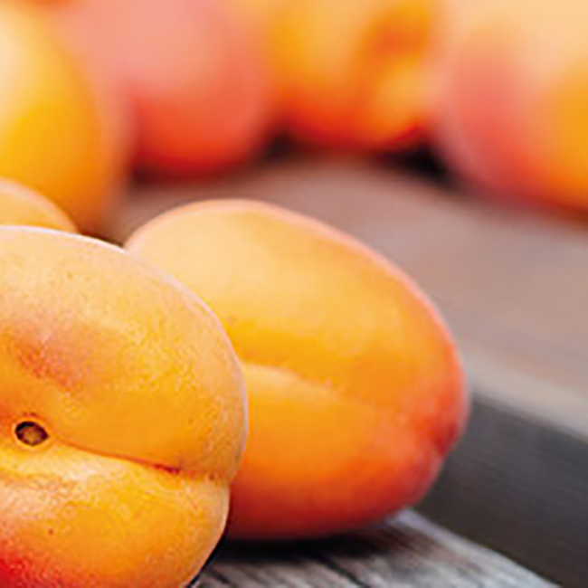 Prinz Alte Williams Christbirne Brand 1.0 l 41% vol