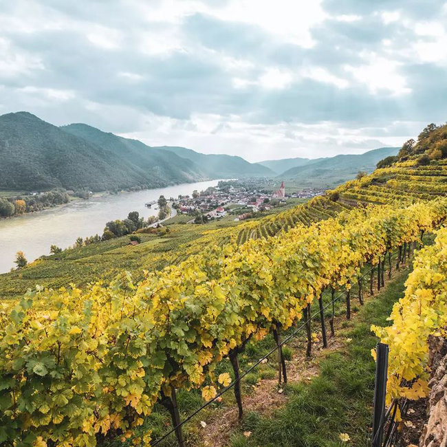 Grüner Veltliner Smaragd Weissenkirchen Wachau DAC 2023 0.75 l