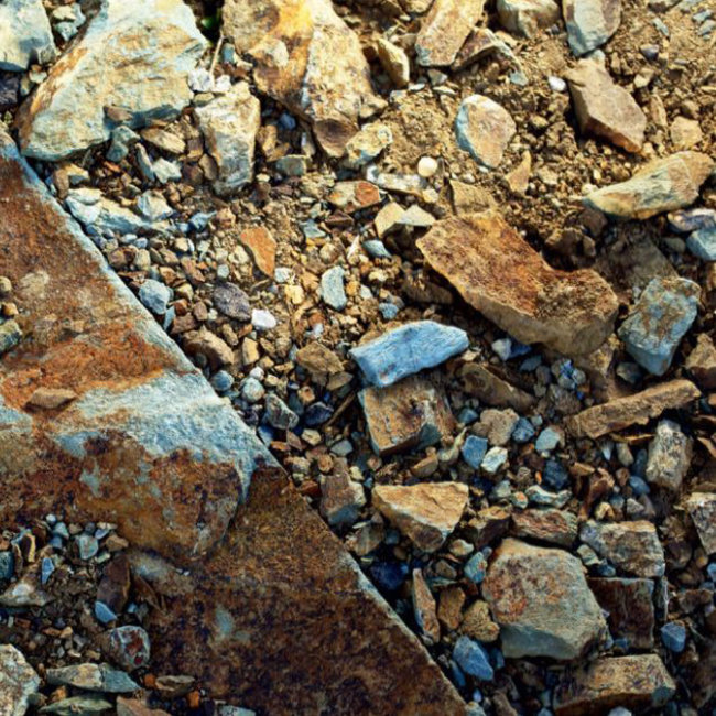 Blauer Zweigelt 2024 0.75 l