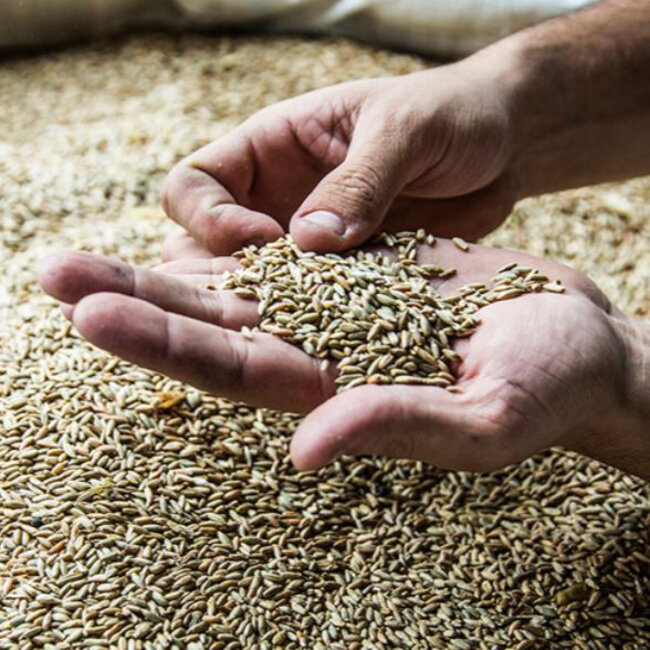 Whistle Pig  15 YO Straight Rye Whiskey + GB  0.7 l 46% vol