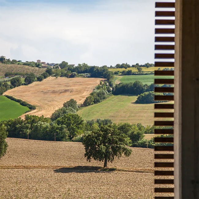 Linguine Hartweizennudeln (500g)