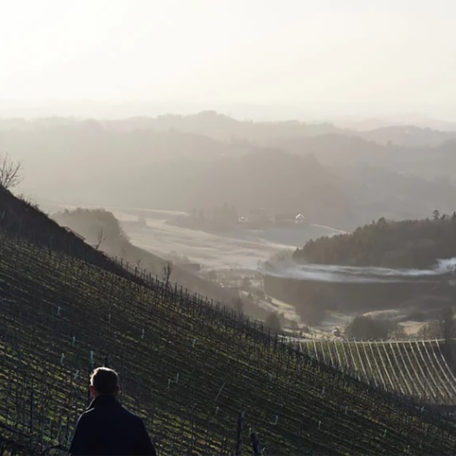 Sauvignon Blanc Hochgrassnitzberg GSTK DAC 2021 0.75 l
