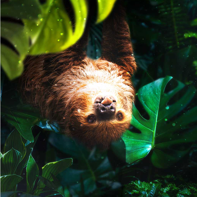 Fundacion 20 Sistema Solera Rum 0.7 l 40% vol