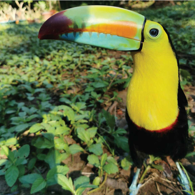 Fundacion 20 Sistema Solera Rum 0.7 l 40% vol