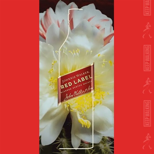 Red Label Blended Scotch Whisky 0.7 l 40% vol