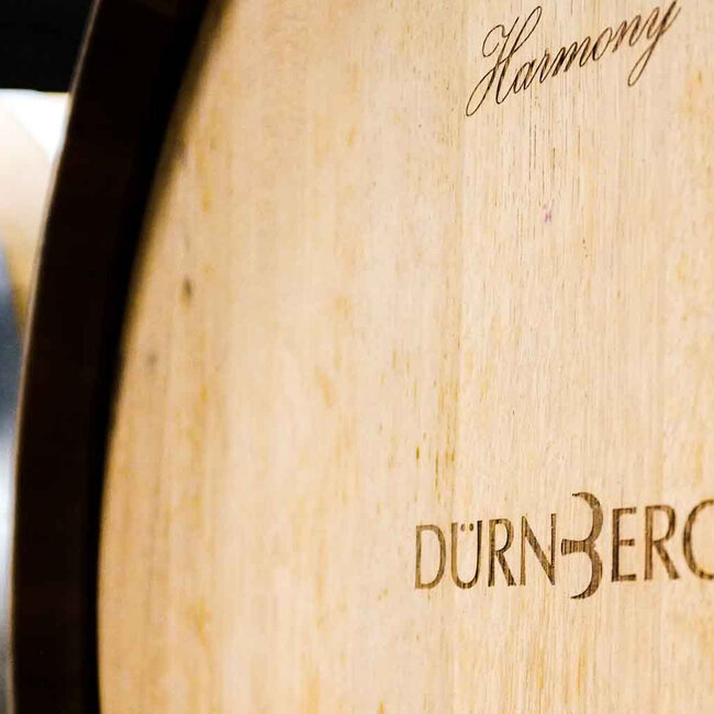 Grüner Veltliner Endlos Grande Reserve 2020 Magnum 1.50 l