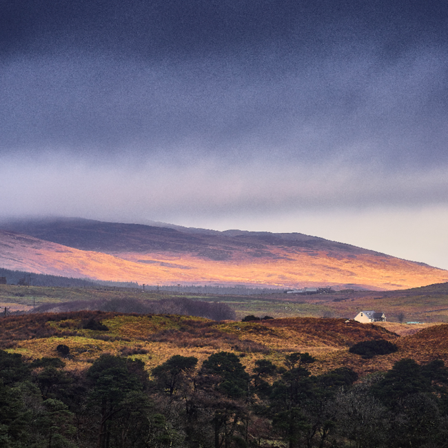 Bowmore 15 Years Old Islay Single Malt Scotch Whisky 0.7 l 43% vol