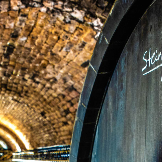 Riesling Ried Steinbühel 1ÖTW Kremstal DAC 2021 0.75 l