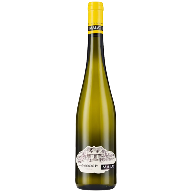 Riesling Ried Steinbühel 1ÖTW Kremstal DAC 2023 0.75 l