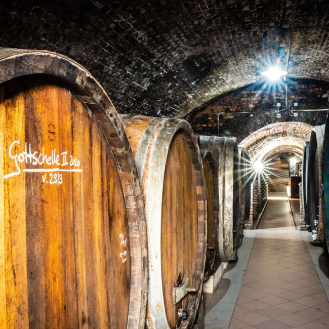 Grüner Veltliner Ried Gottschelle 1ÖTW 2023 0.75 l