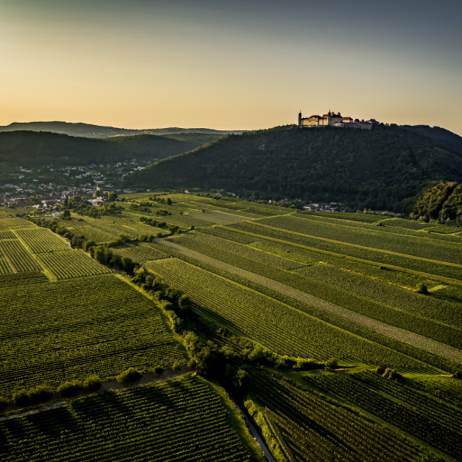 Grüner Veltliner Ried Gottschelle 1ÖTW 2021 0.75 l