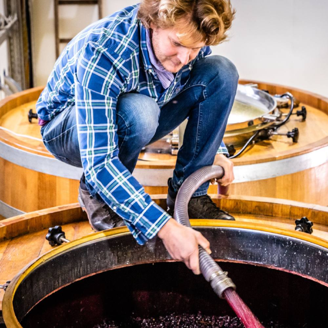 Pinot Noir Furth 2023 0.75 l