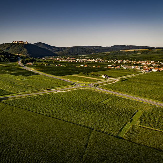 Pinot Noir Furth 2023 0.75 l