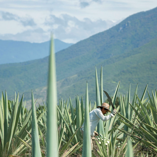 Del Maguey Vida Single Village Mezcal 0,7 l 42 % vol
