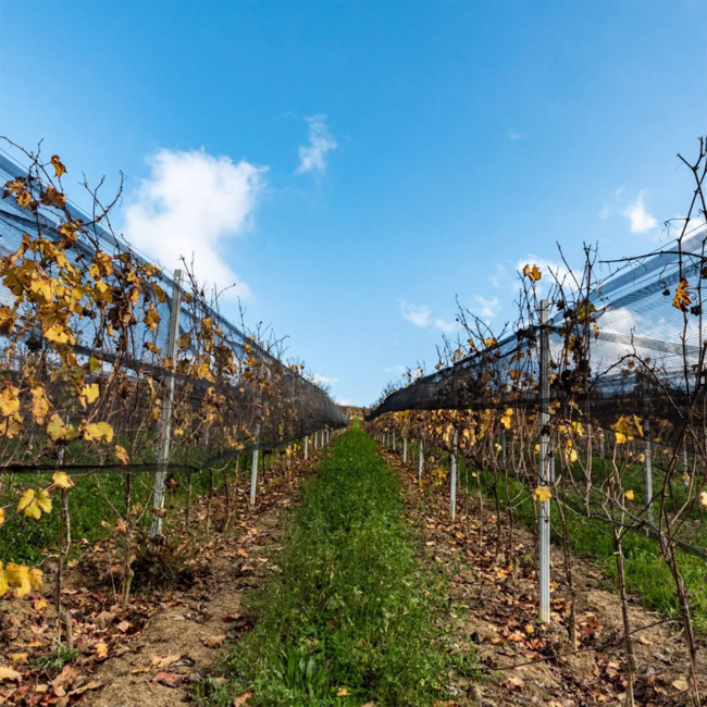 Vermouth Rosso 0.75 l 17% vol