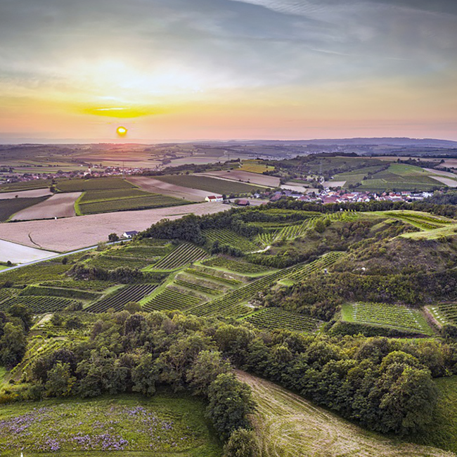 Grüner Veltliner Löss I 2024 0.75 l