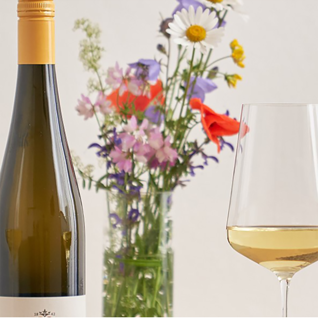 Riesling Furth bei Göttweig Kremstal DAC 2022 0.75 l