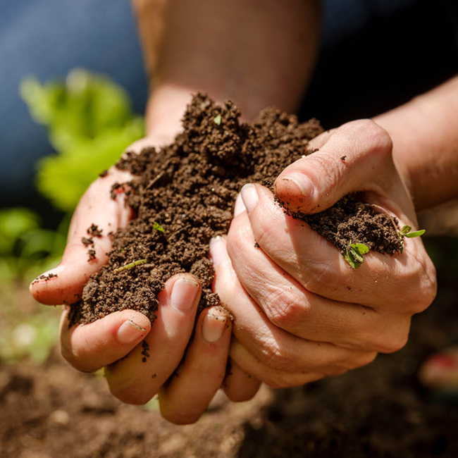 Proximo DOCa 2021 0.75 l