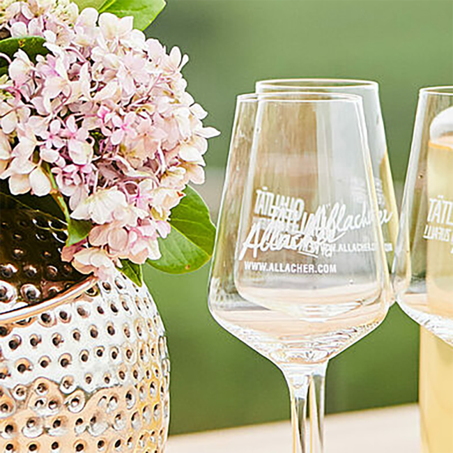 Sauvignon Blanc 2025 0.75 l