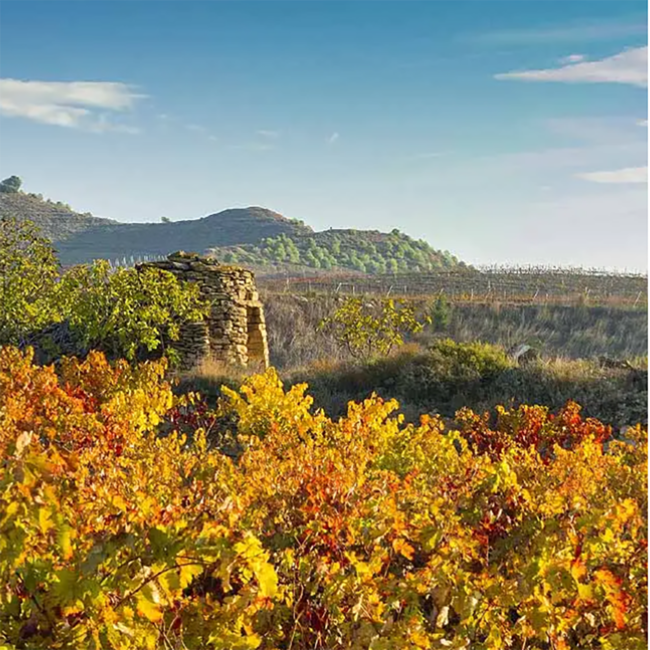 Conde Valdemar Gran Reserva Rioja DOCa 2017 0.75 l