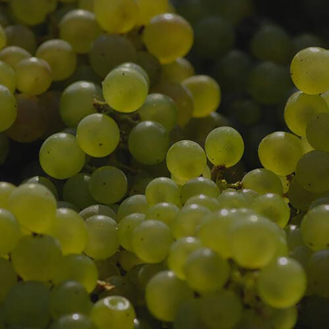 Rose Champagner Eco Box 0.75 l 12% vol