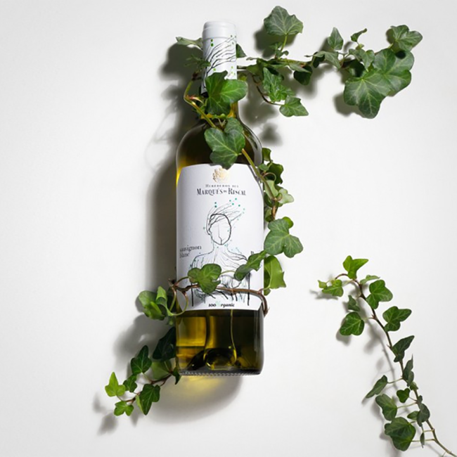 Sauvignon Blanc DO 2024 0.75 l