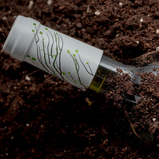 Sauvignon Blanc DO 2024 0.75 l