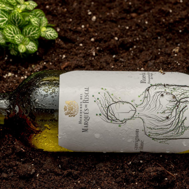 Sauvignon Blanc DO 2024 0.75 l