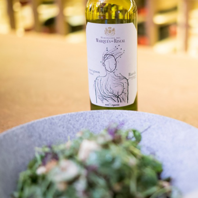 Sauvignon Blanc DO 2024 0.75 l