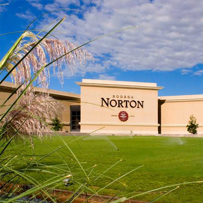 Torrontés Colección Varietales 2024 0.75 l