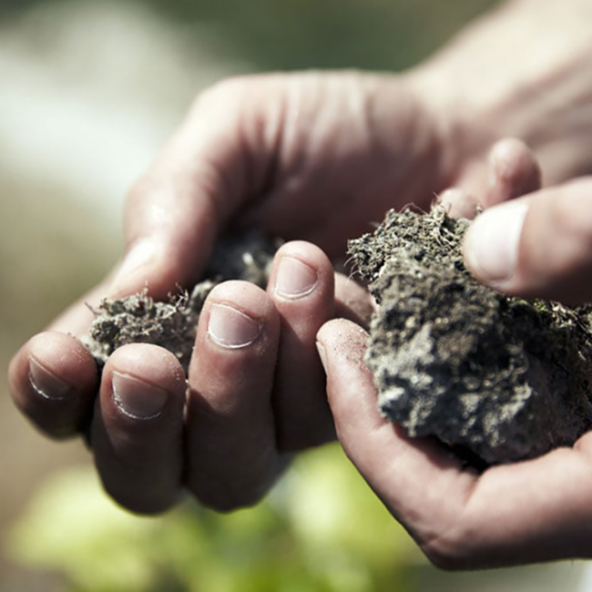 Cuvee Brut Ice Cream Edition Champagne 0.75 l 12% vol