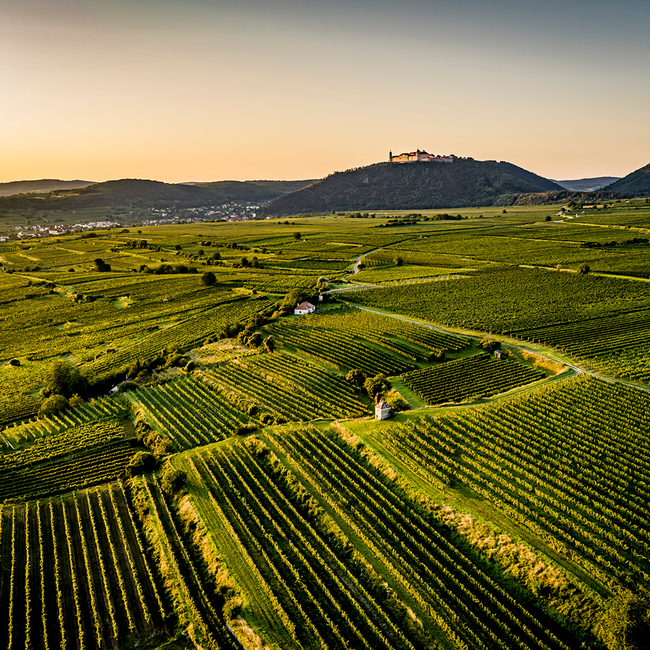 Grüner Veltliner Ried Gottschelle 1ÖTW Kremstal DAC Reserve 2024 0.75 l