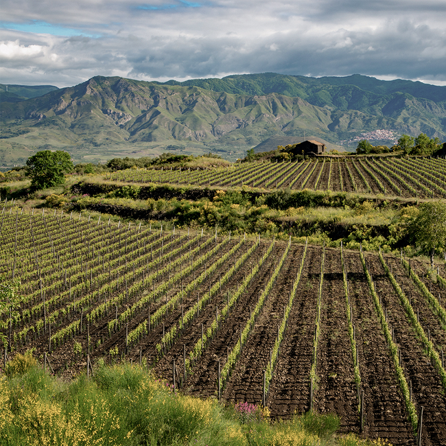 Etna Rosso DOC 2019 0.75 l