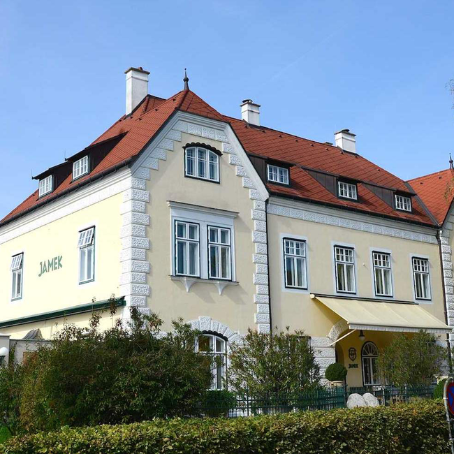 Grüner Veltliner Federspiel Stein am Rain Wachau DAC 2024 0.75 l
