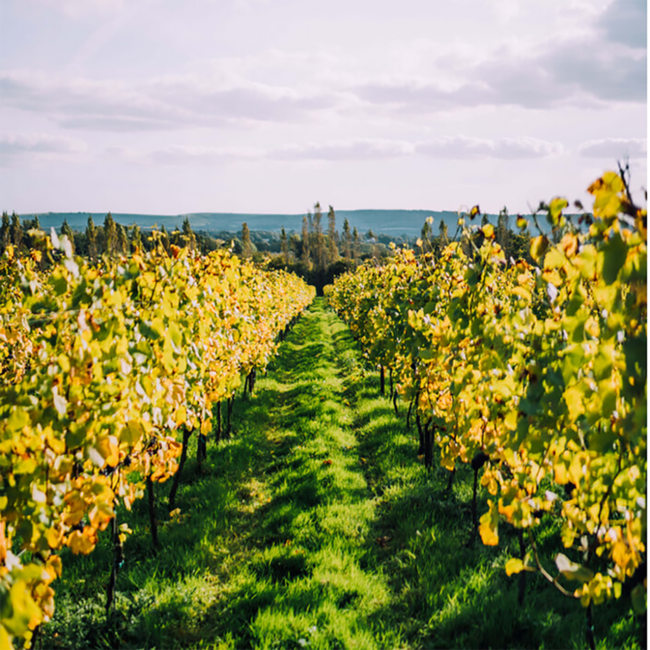 Classic Cuvee Brut Sparkling Englischer Schaumwein 0.75 l 12% vol