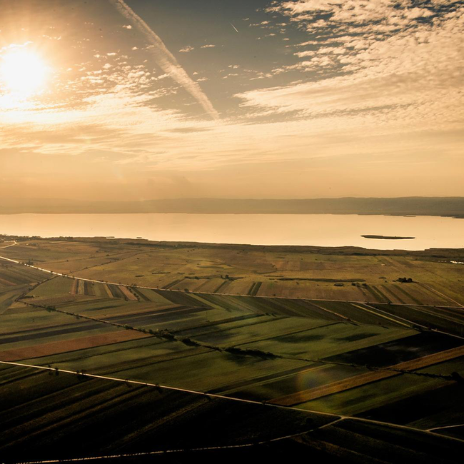 Scheurebe "Zwischen den Seen" Trockenbeerenauslese 2018 0.375 l