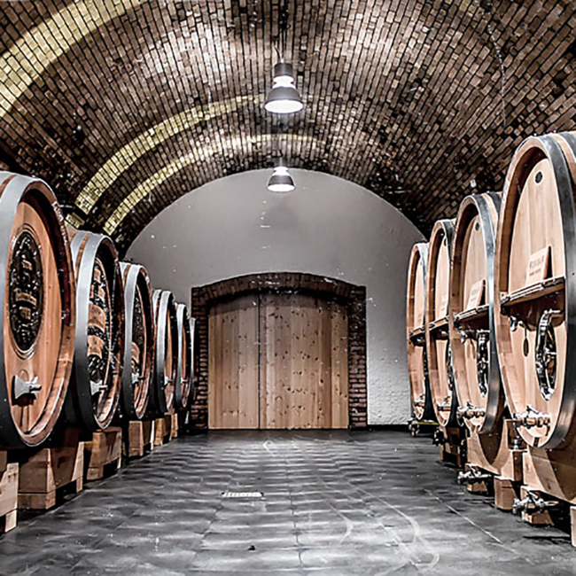 Sauvignon Blanc Auslese 2023 0.50 l