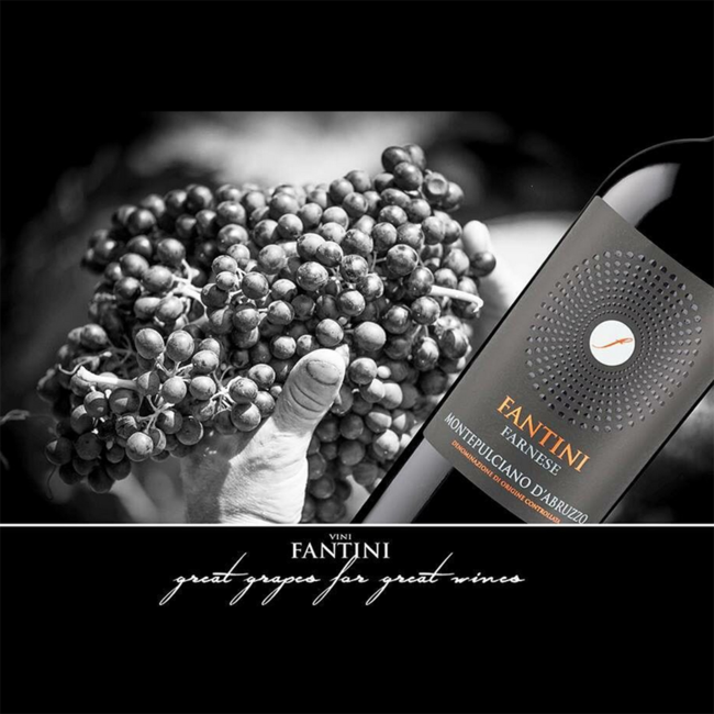 Montepulciano d'Abruzzo DOC 2024 0.75 l