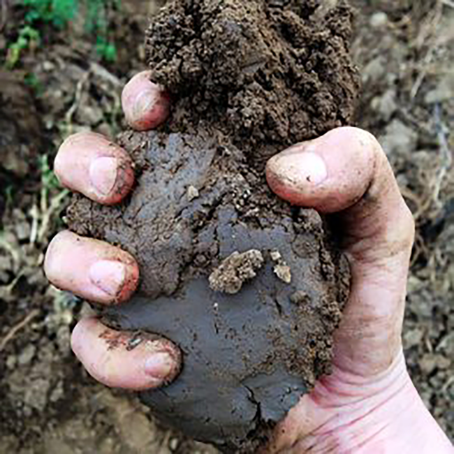 That's Amore (BF/ME/ROE) 2022 0.75 l