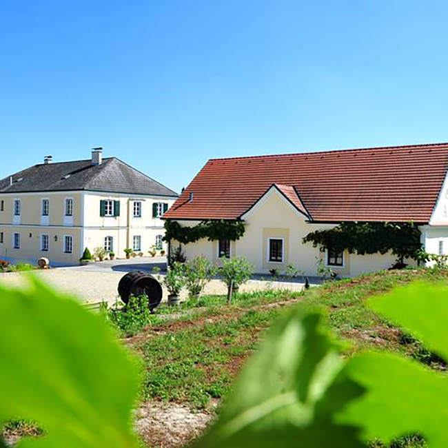 Grüner Veltliner Ried Hasel Kamptal DAC 2023 0.75 l