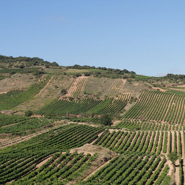 Blanco Maximo 2021 0.75 l