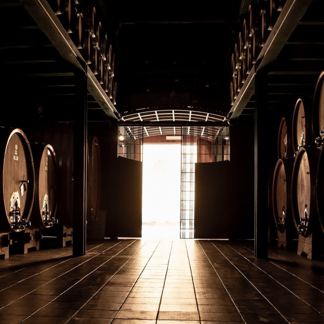 Dolcetto d'Alba DOC Bio 2022 0.75 l