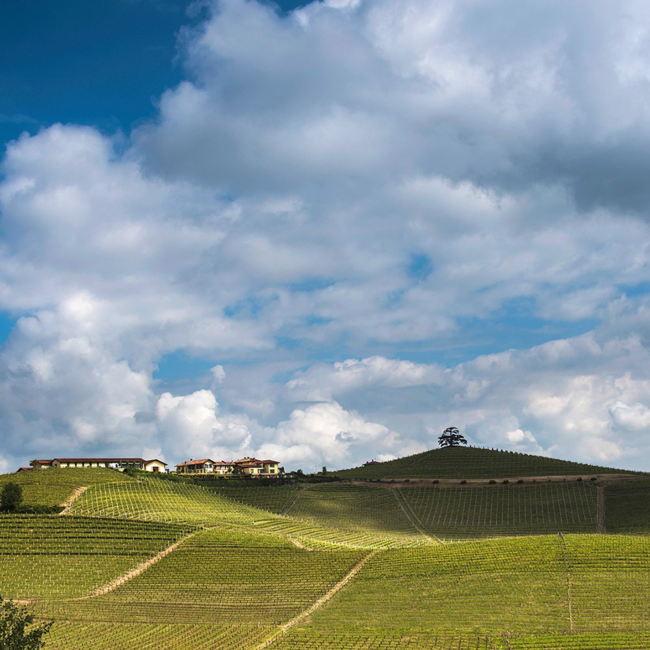 Barolo Enrico VI DOCG BIO 2020 0.75 l