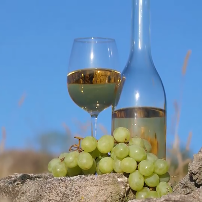 Sauvignon Blanc Beerenauslese 2021 0.375 l